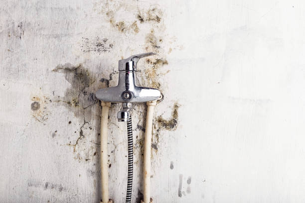 Hurricane, WV Mold Removal Company