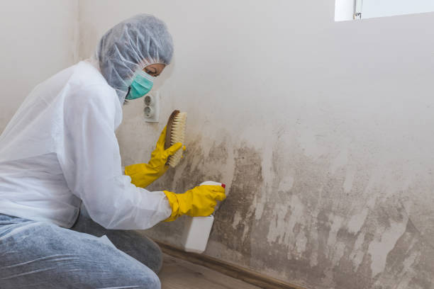 Best Crawl Space Mold Removal  in Hurricane, WV